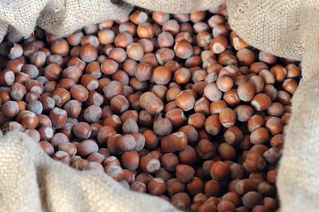 Agriturismo Cascina Varie Castagnito Eksteriør bilde